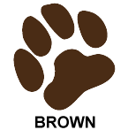 brown pet doors